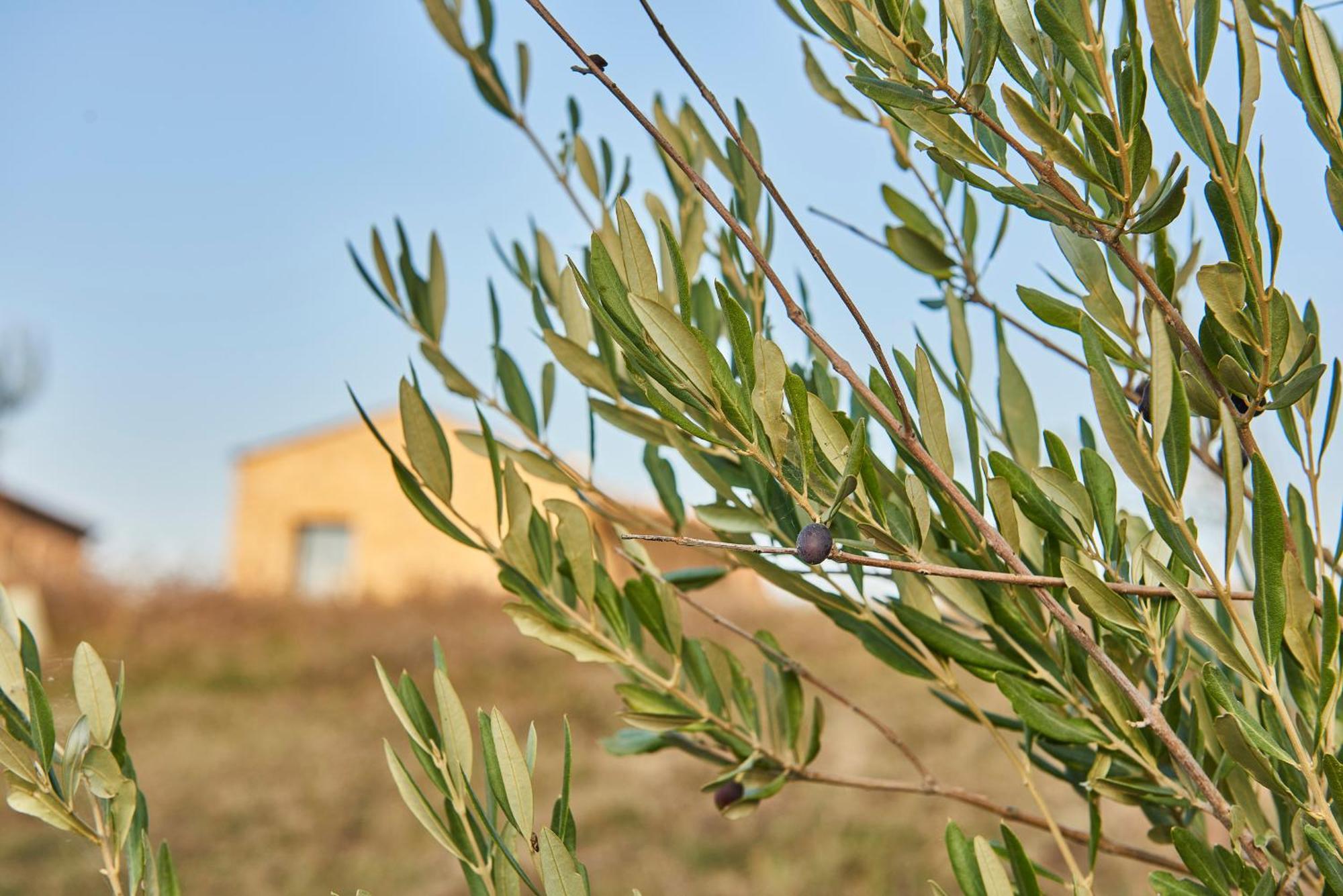 Agriturismo Prato Del Re Prignano sulla Secchia Екстериор снимка