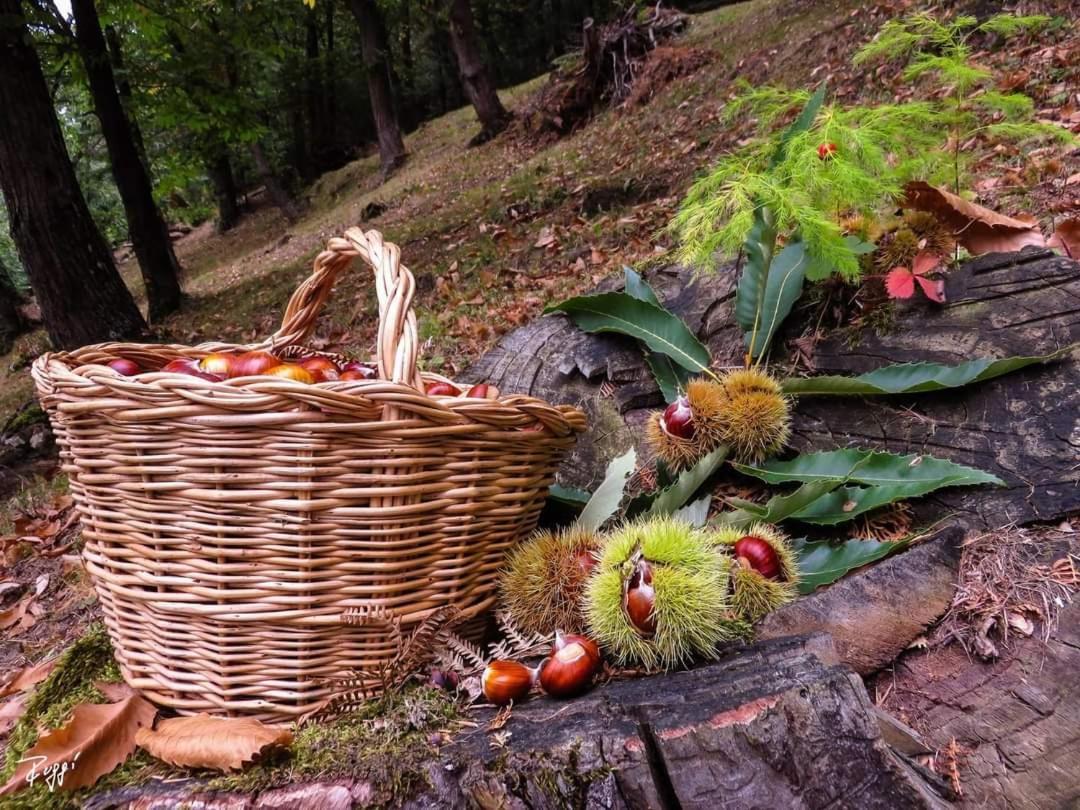 Agriturismo Prato Del Re Prignano sulla Secchia Екстериор снимка